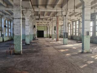 Аренда производственно-складских и офисных помещений