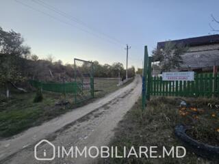 Teren pomicol, com. Ciorescu, loc. Făurești Vă propunem spre vânzare .