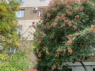 36045. Продаётся 2-комнатная квартира в высотном ...