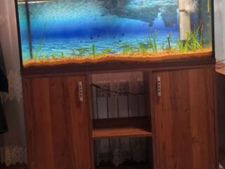 Аквариум с тумбой 1 год.