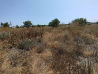 В продаже земельный участок в центре Великодолинского со всеми ...