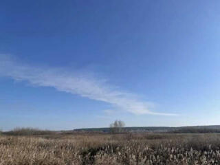 продаж ділянка сільськогосподарського призначення Броварський, Пухівка