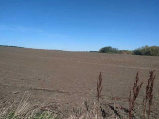 продаж ділянка сільськогосподарського призначення Іллінецький, Кантели