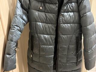 Vin Scurte geci de iarna