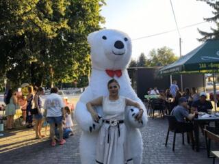 Белый мишка на Ваше торжество. Живая Музыка Ведущая Диджей. профи!!