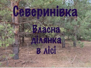 продаж ділянка під житлову забудову Бучанський, Северинівка, 126500 $