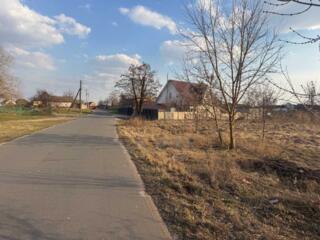 продаж ділянка під житлову забудову Бориспільський, Іванків, 13000 $