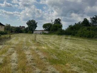 продаж ділянка під житлову забудову Бориспільський, Іванків, 21000 $