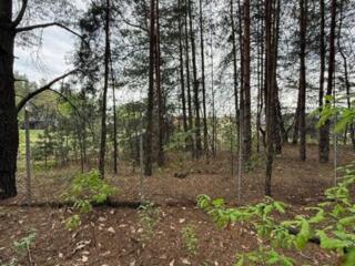 продаж ділянка під житлову забудову Бориспільський, Проців, 88000 $