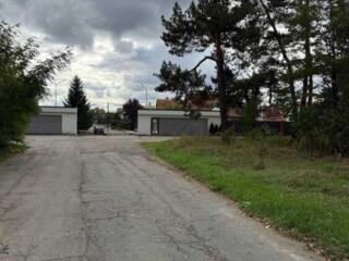 продаж ділянка сільськогосподарського призначення Бориспільський, Іван