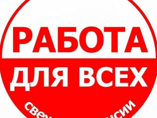 Работа в Голландии для мужчин, женщин и семейных пар по био. паспортам