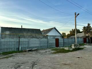 Продаются дом Липканы