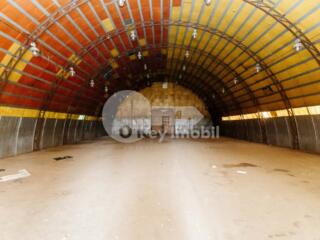 Oferim spre chirie depozit amplasat pe str. Cetatea Albă, ...