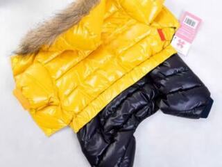 Одежда для собаки