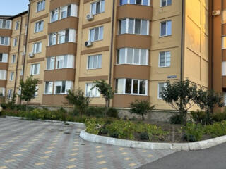 Продам 4-комнатную квартиру в Новострое на Борисовке