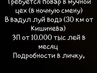 Работник на долгий срок