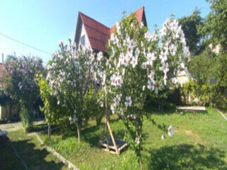 Продам дом на Таирова, ул Вавилова/Отважных