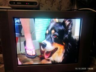 Телевизор Рубин