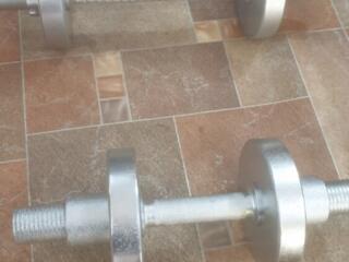 Продаются гантели есть две штуки.