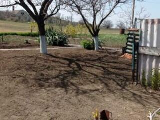 Дом +  2 участка 46 соток в Шеметово. Берег Хаджбейского лимана.