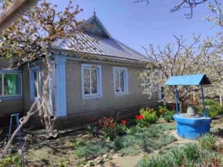 Продам дом село Троицкое Беляевский район Одесская область