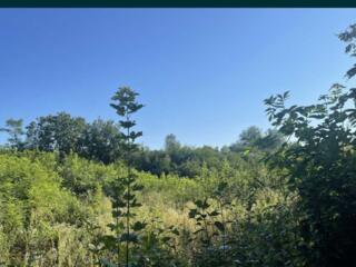 продаж ділянка під житлову забудову Обухівський, Підгірці, 70000 $