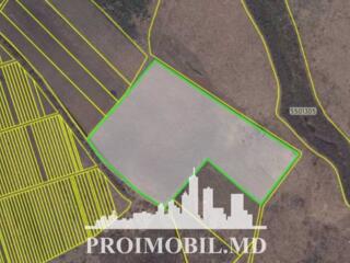 S pre vânzare se oferă teren/livadă de vișine, situat în Ialoveni, ...