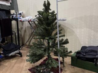Продам елку