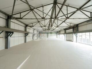 Se oferă spre chirie depozit/spațiu pentru producere ...