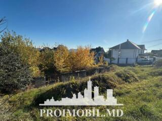 Spre vânzare se oferă teren pentru construcții, situat în Codru, str. 