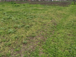 Продам участок в центре Санжейки под строительство дома!