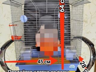 Продаётся большая клетка, игрушка для котов, интерактивная мышь