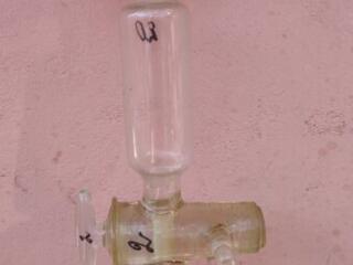 Сухопарник