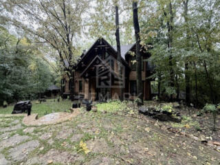 Casă în sânul naturii, la marginea pădurii, 100% din lemn, cu design .