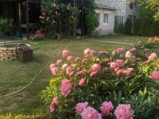 продаж 3-к дача Обухівський, Підгірці, 45000 $