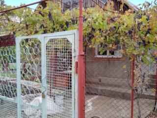 Продам дачу!