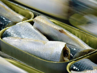 Работа на фабрике. Зарплата 1100 евро. Бесплатный обед.