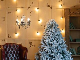 КАЧЕСТВЕННЫЕ ЕЛКИ!!! Магазин ЭКО ДОМ юности 20