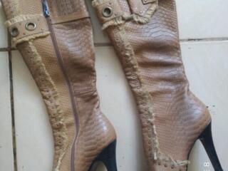 Женские сапоги