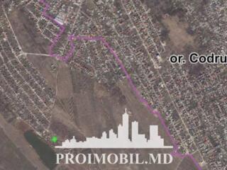 Spre vânzare se oferă teren agricol, situat în Codru.Suprafața totală 