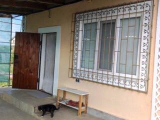 Днестровск. Продам дачу на берегу лимана, в СОТ Энергетик.