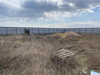 Предлагается к продаже земельный участок 6 соток с прекраснейшим ...