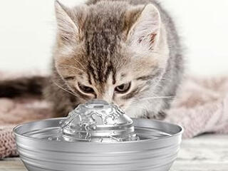 Фонтан-поилка для кошек из нержавеющей стали