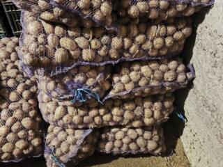Продам картофель на корм по 3р. Оптом дешевле.