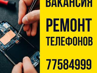 Мастер по ремонту мобильных телефонов