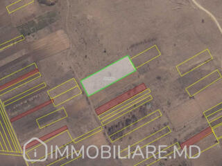 Teren agricol, com. Suruceni Vă propunem spre vânzare un teren ...