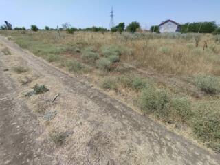 Предлагается к продаже участок в пригороде Черноморская, пригодный ...