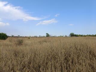 Предлагается к продаже новая нарезка участка площадью 394,74 сотки в .