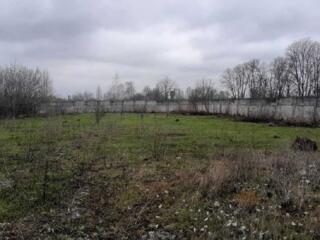 продаж ділянка комерційного призначення Золотоніський, Золотоноша, 167