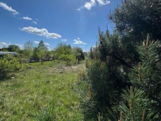 продаж ділянка під житлову забудову Бучанський, Северинівка, 10000 $